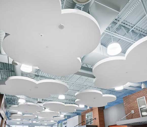Acoustic Ceiling Solutions